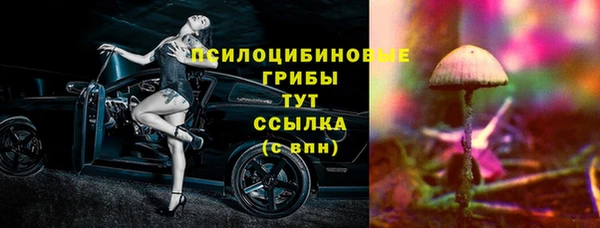 сатива Михайловка