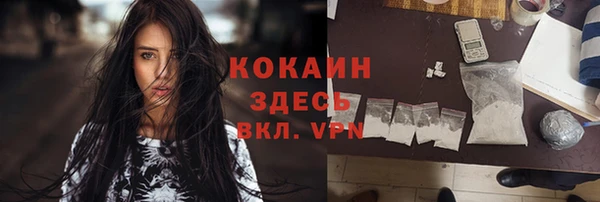 сатива Михайловка