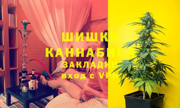 сатива Михайловка