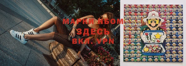 сатива Михайловка
