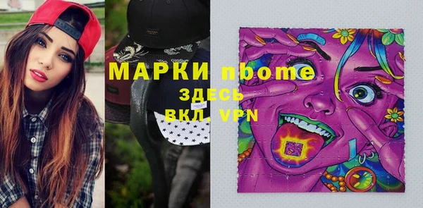 сатива Михайловка