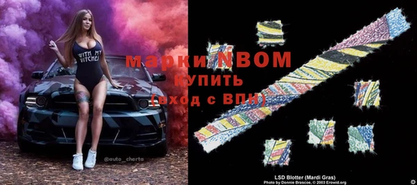 мдпв Михайлов