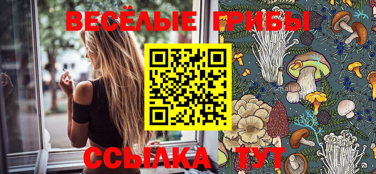 Галлюциногенные грибы мицелий Бугуруслан