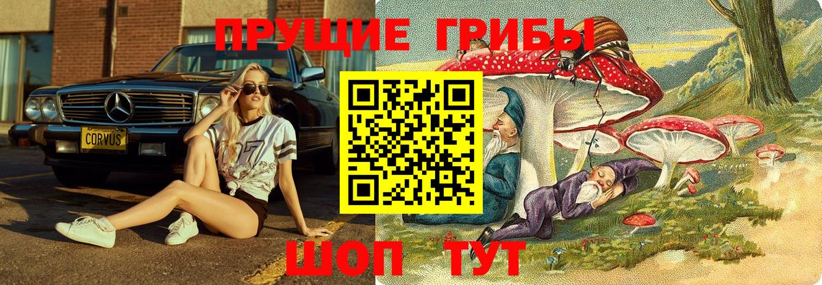 Галлюциногенные грибы Psilocybine cubensis Бугуруслан