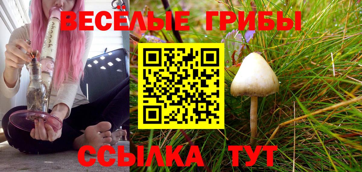 Бугуруслан  Галлюциногенные грибы GOLDEN TEACHER  Вход с VPN 